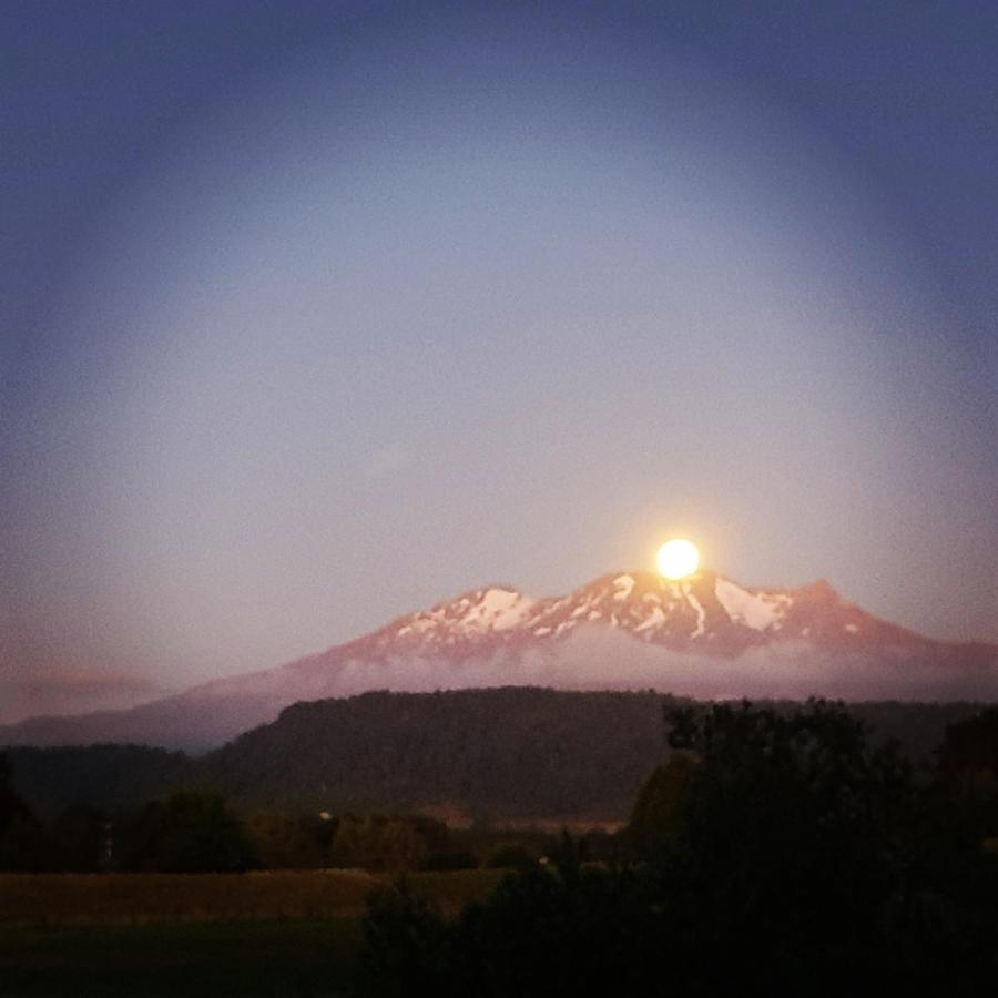 Beech Tree Lodge Ohakune Esterno foto
