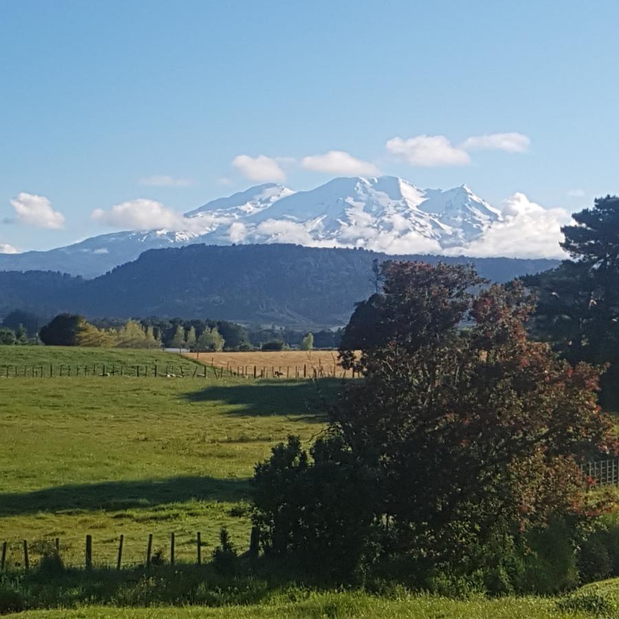 Beech Tree Lodge Ohakune Esterno foto