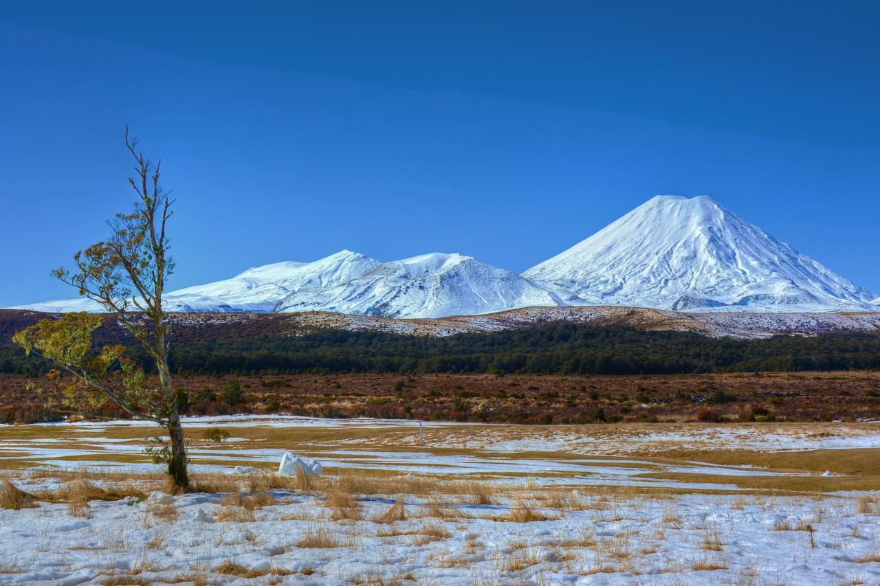 Beech Tree Lodge Ohakune Esterno foto
